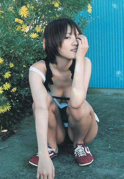 夏菜写真