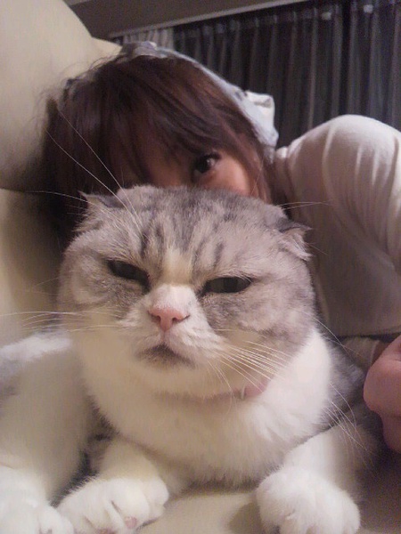 竹内顺子写真