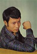 岳华写真