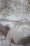 松雪泰子写真