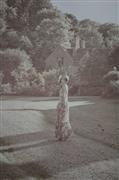 松雪泰子写真