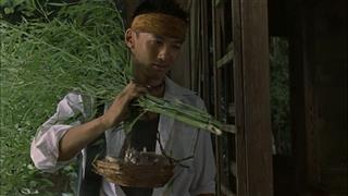 山本太郎写真