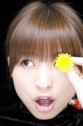 篠田麻里子写真