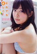 指原莉乃写真