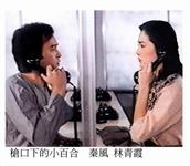 秦风精彩写真5