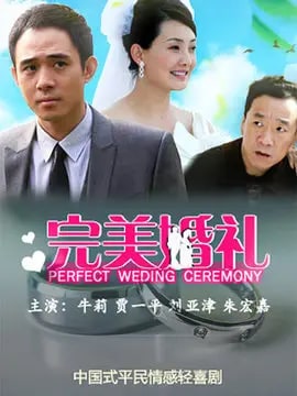 完美婚礼演员表