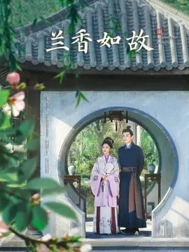 兰香如故