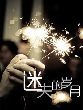 迷失的岁月演员表