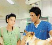突围行动剧情介绍