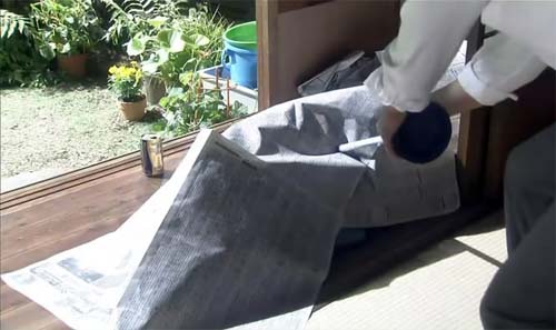 萤之光剧情介绍