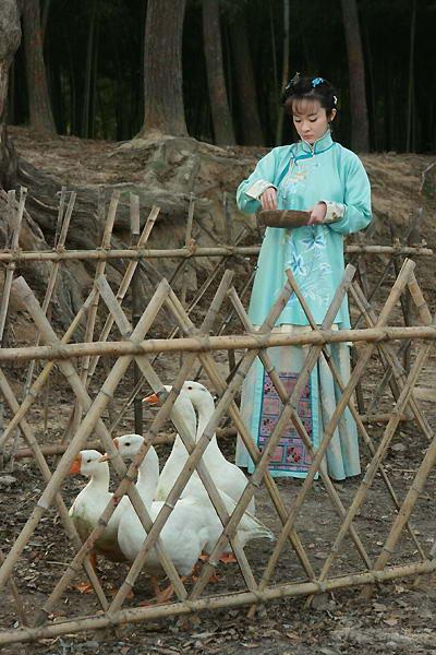 玫瑰江湖剧情介绍