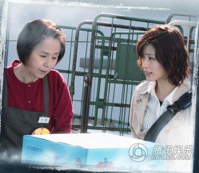 绝对零度 未解决事件特命搜查剧情介绍