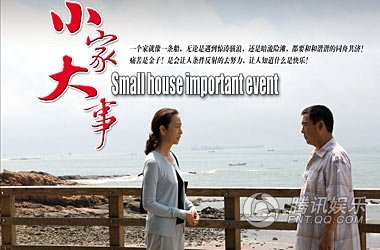 小家大事剧情介绍