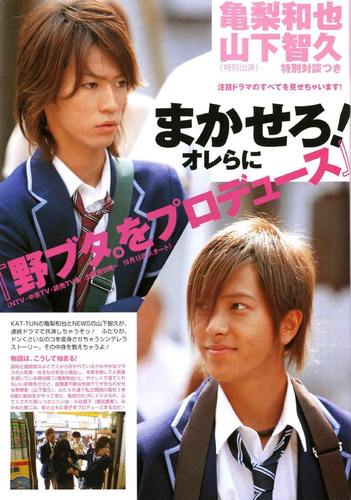 野猪大改造剧情介绍