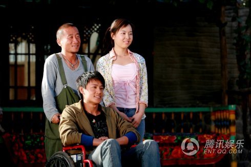 青树剧情介绍