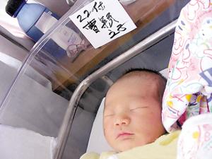 爱上单眼皮男生剧情介绍