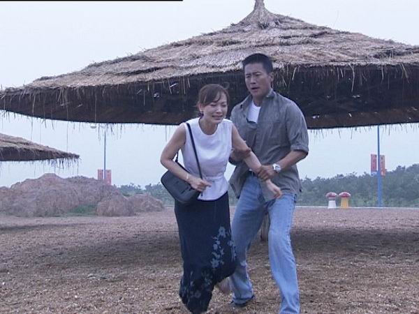 蓝百合剧情介绍