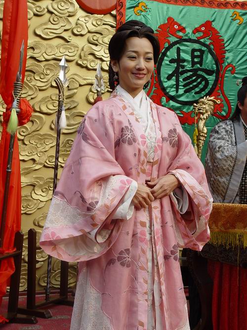 杨门虎将剧情介绍