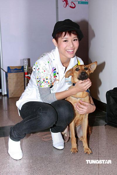 当狗爱上猫剧情介绍