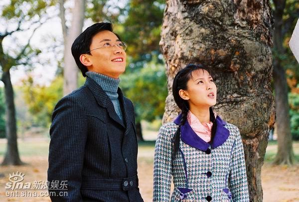 青城之恋剧情介绍