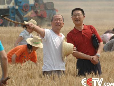 文化站长剧情介绍