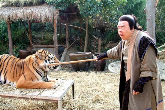 盲侠金鱼飞天猪剧情介绍