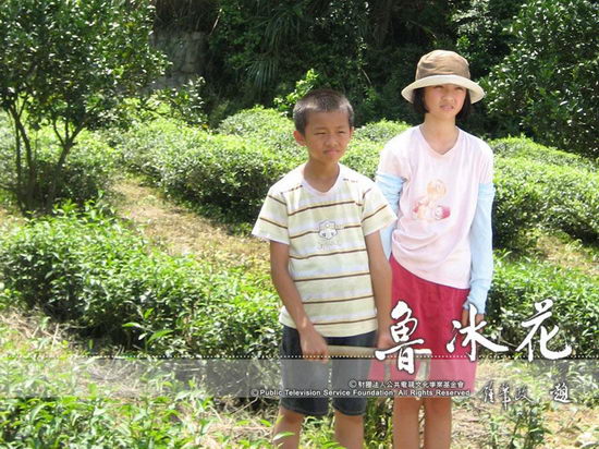 鲁冰花剧情介绍