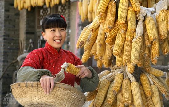小姨多鹤剧情介绍