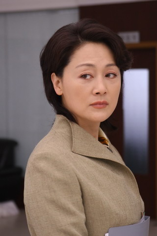 太阳作证剧情介绍