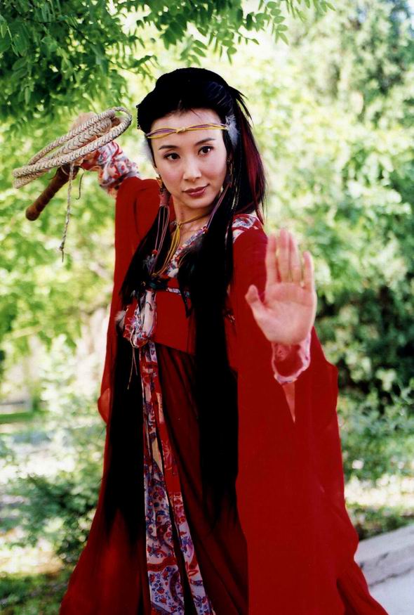 侠骨丹心剧情介绍