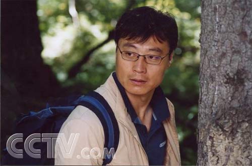 老娘泪剧情介绍