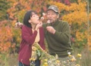 北国之恋剧情介绍