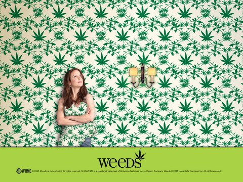 Weeds剧情介绍