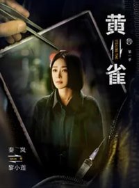 黄雀演员秦岚