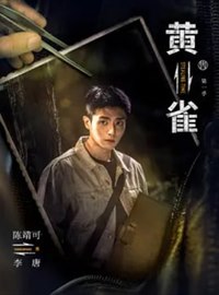 黄雀演员陈靖可