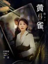 吕晓霖