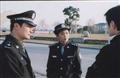 浮尘剧情介绍
