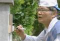 琉璃之岛剧情介绍