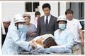 Tomorrow剧情介绍