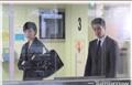 Tomorrow剧情介绍