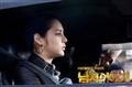 男人的故事剧情介绍