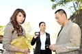 廉政行动2009剧情介绍