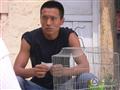 小家大事剧情介绍