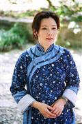 飞花如蝶剧情介绍
