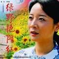 绿野艳阳红剧情介绍