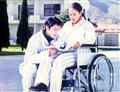 目击证人剧情介绍