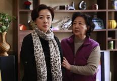 咱家那些事儿剧情介绍