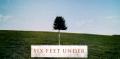 Six Feet Under剧情介绍