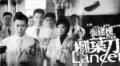 柳叶刀剧情介绍