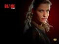 Blade The Series剧情介绍